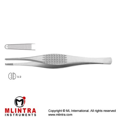 Ramsey Dissecting Forceps 1 x 2 Teeth Stainless Steel, 18 cm - 7" Ramsey Dissecting Forceps 1 x 2 Teeth Stainless Steel, 18 cm - 7"